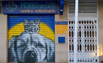 MORRO DE GOS CENTRO VETERINARIO