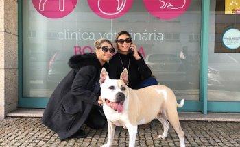 Clinica Veterinaria Boa Nova, Lda.