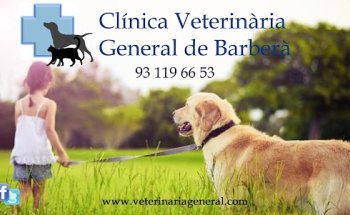 Clínica Veterinària General de Barberà (Veterinario)