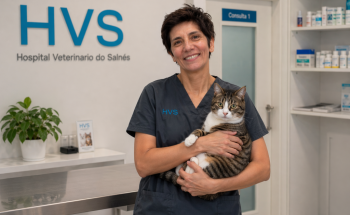Clinica Veterinaria San Miguel