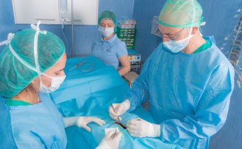 Clinica Veterinaria Bolta