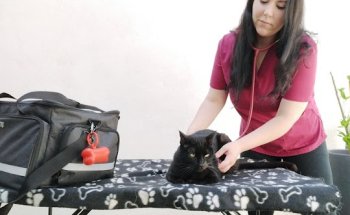 AZABACHE Veterinaria a Domicilio