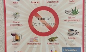 Clínica Veterinaria Sabiñánigo