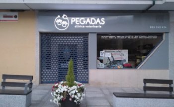 PEGADAS CLINICA VETERINARIA
