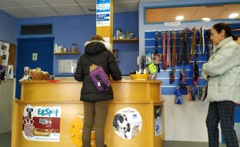 Centro Médico Quirúrgico Veterinario La Encinilla, S.L.