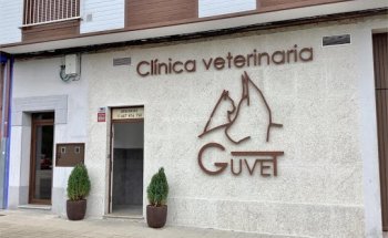 Clínica Veterinaria Guvet