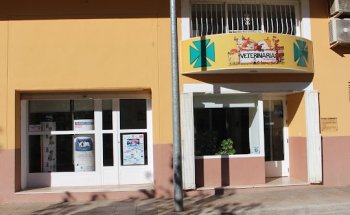 Veterinaria Segorbe - Mª Jesús Gamón Ovejero