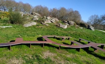 Xunta De Galicia Dirección Xeral Saude Pública Serv Veterinario