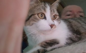 Centro Veterinario Trujillano