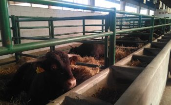 Oficina Veterinaria de Zona de Trujillo