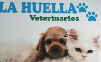 Clínica Veterinaria La Huella (Umbrete)