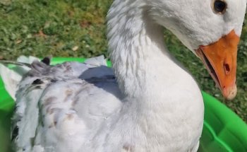 Centro Veterinario Villaobispo