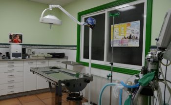 Centro Veterinario Don Guau