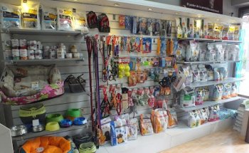 Doctoras Vet Clínica Veterinaria