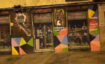 Peluditos Centro Veterinario