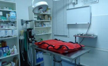 Clinica Veterinaria Paseo de la Esperanza