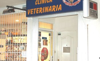 Clínica Veterinaria Chihuahua Tetuán Madrid
