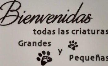 Malasaña Clínica Veterinaria - ChuecaVet