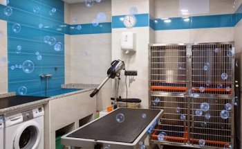 Clínica veterinaria Éboli