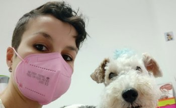 Clínica Veterinaria Bichos