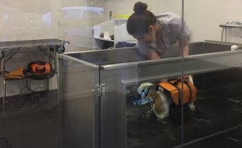 Clínica Veterinaria Padilla