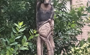 Centro veterinario Los Madrazo Arganzuela