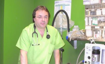 Clinica Veterinaria Los Austrias