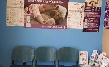 CLINICA VETERINARIA VILLEN