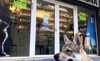 Centre Veterinari FAUNA.