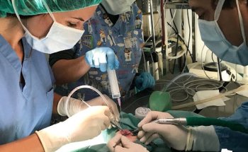 Centro Veterinario Abrantes