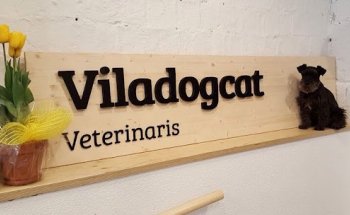 Viladogcat Veterinarios