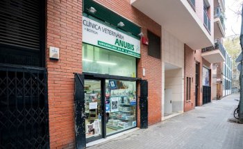Anubis Clínica Veterinària