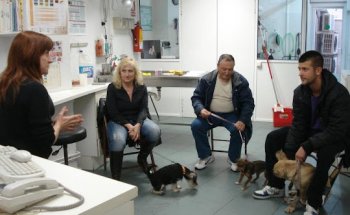 Clínica Veterinaria Horta-El Carmel