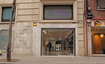 Valencia Veterinarios