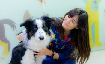 Monvets Centro Veterinario