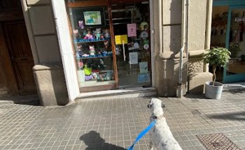 Clínica Veterinària Marín