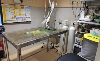 CLÍNICA VETERINARIA LA CAÑADA