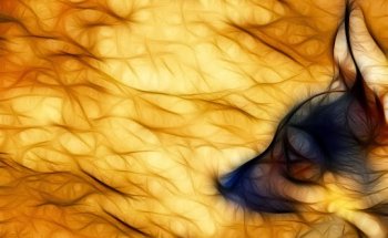 Clínica Veterinaria Jordà