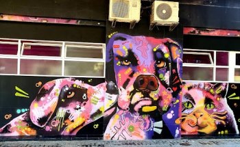 Clínica Veterinaria Atalaya