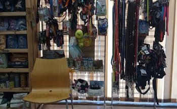 Clínica Veterinaria El Fuerte