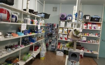 Centro Veterinario Dinky’s