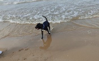 Centro Veterinario García Noblejas