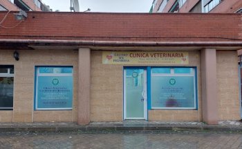 CLINICA VETERINARIA CALIDAD SIN FRONTERA