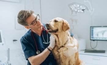 Centro Veterinario Talisman de Plata