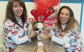 Clínica Veterinaria Portacoeli S.L.