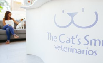 The Cat’s Smile Clínica Veterinaria Ciudad Lineal