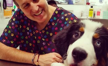 Centro Veterinario Cap i Cua