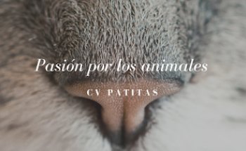 Centro Veterinario Patitas