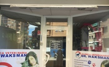 Jornada Esterilización en perros y gatos Valencia