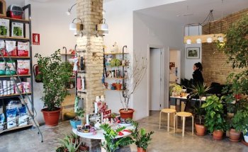 Clínica Veterinaria El Jardín